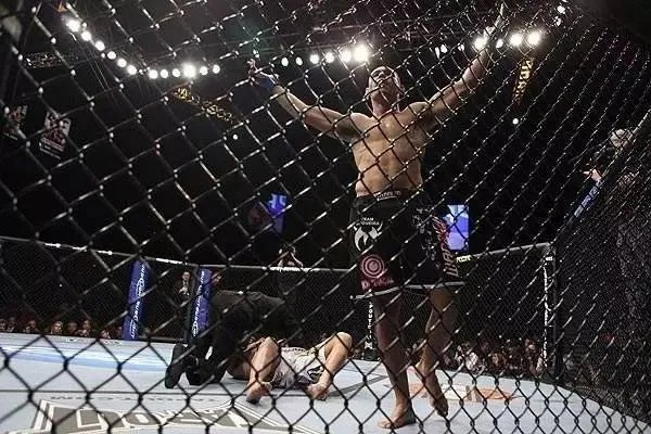 走进八角笼，UFC是什么运动？