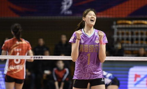 排坛新规解析，2024年排球比赛最新规则全面解读